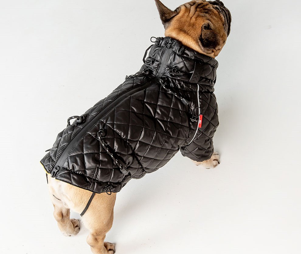 Куртка собаке
