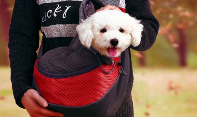 Рюкзак-переноска для собаки