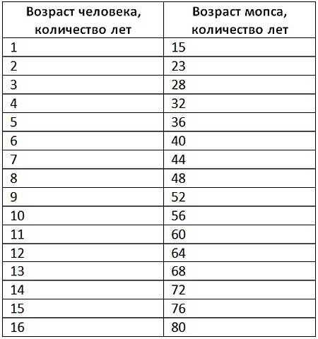 Средняя продолжительность жизни мопса